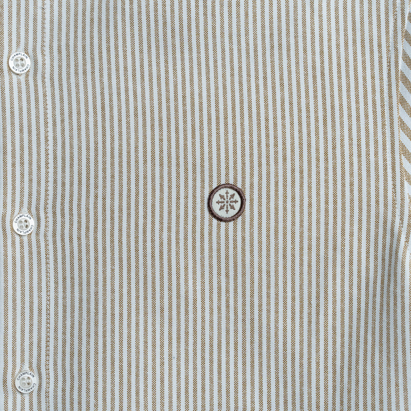 Stripe Dress Shirt Brown