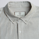 Stripe Dress Shirt Brown
